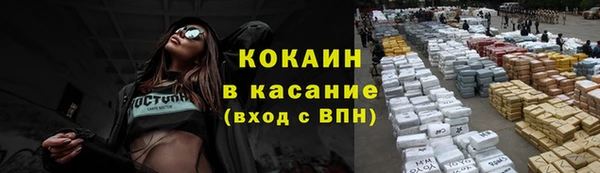 стаф Абинск