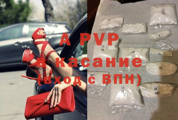 стаф Абинск
