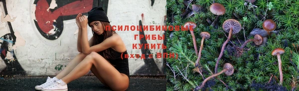 индика Абдулино