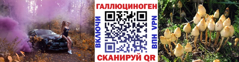 наркота  кракен зеркало  Псилоцибиновые грибы Psilocybe  Серпухов 